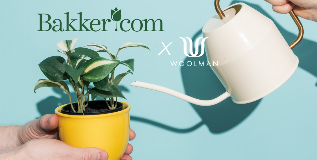 Bakker International chose Woolman  as their trusted agency partner in their  ambitious online growth