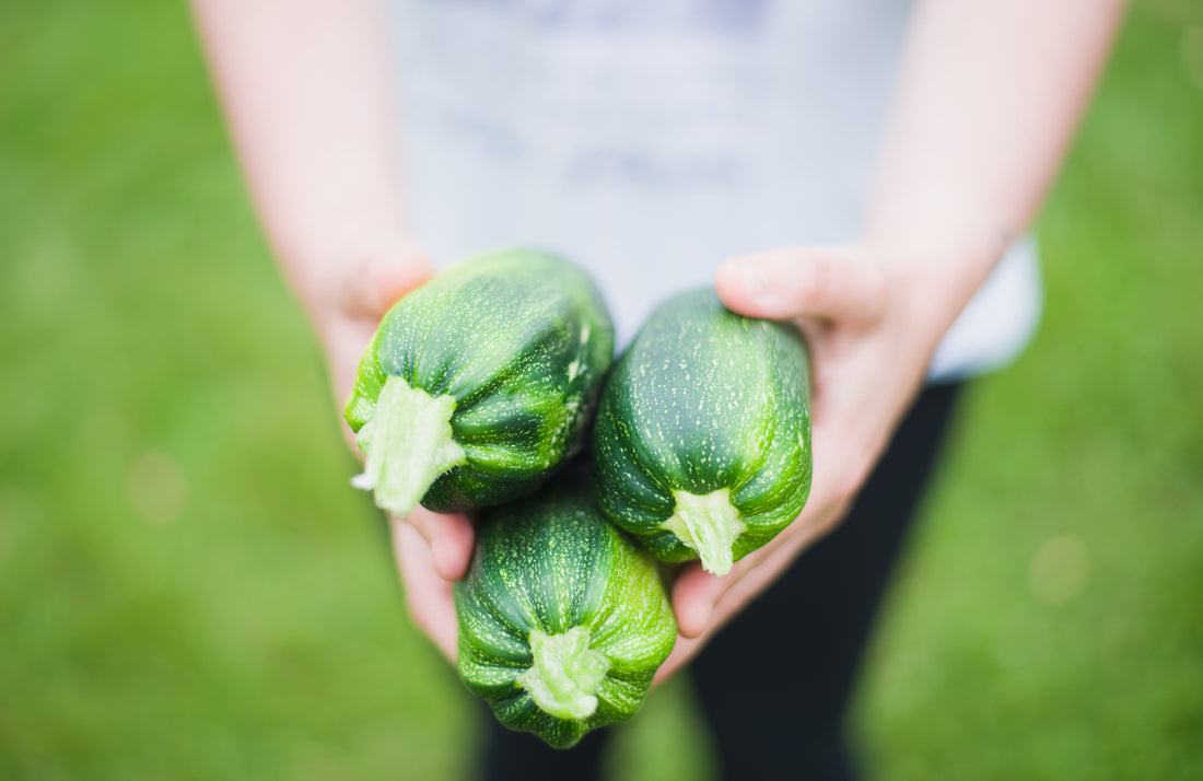 Growth hacking and growing veggies
